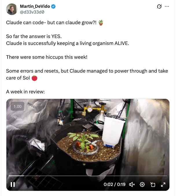 X user shared how Claude is growin its tomat plant